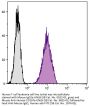 Mouse IgG1-UNLB