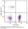 Rat Anti-Mouse CD8α-APC/CY7