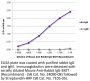 Mouse Anti-Rabbit IgG-BIOT (Recombinant)