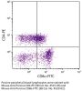 Mouse Anti-Porcine CD4-PE