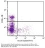 Mouse Anti-Porcine B Cell Subset-FITC