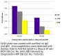 Donkey F(ab')2 Anti-Rat IgG(H+L), Mouse SP ads-BIOT