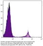 Mouse Anti-Chicken CD8α-BIOT
