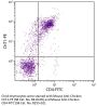 Mouse Anti-Chicken ChT1-PE