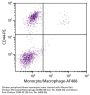 Mouse Anti-Chicken Monocyte/Macrophage-AF488