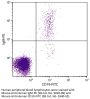Mouse Anti-Human IgM-PE