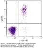 Mouse Anti-Human IgD-PE