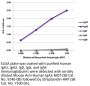 Mouse Anti-Human IgA2-BIOT