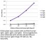Mouse Anti-Human IgG3 Hinge-AP