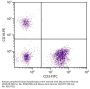 Mouse Anti-Human CD19-PE