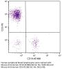Mouse Anti-Human CD19-AF488
