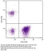 Mouse F(ab')2 Anti-Human CD19-PE