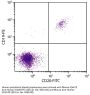 Mouse F(ab')2 Anti-Human CD20-FITC