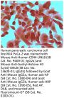 Mouse Anti-Human CD44-UNLB