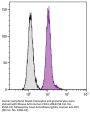 Mouse Anti-Human CD13-UNLB