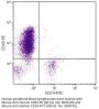 Mouse Anti-Human CD43-PE