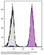 Mouse Anti-Human CD45-PE/TXRD