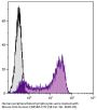 Mouse Anti-Human CD45RA-FITC
