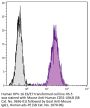 Mouse Anti-Human CD51-UNLB