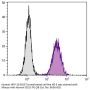 Mouse Anti-Human CD51-PE