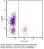 Mouse Anti-Human CD26-PE