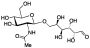 6-O-[2-(Acetylamino)-2-deoxy-beta-D-glucopyranosyl]-D-galactose