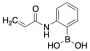 2-Acrylamidophenylboronic Acid