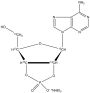 Adenosine 2â€™,3â€™-Cyclic Phosphate-13C5 Triethylammonium Salt