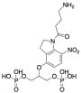 4-Amino-1-[2,3-dihydro-7-nitro-4-[2-(phosphonooxy)-1-[(phosphonooxy)methyl]ethoxy]-1H-indol-1-yl]-1-butanone
