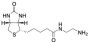 N-(2-Aminoethyl)biotinamide