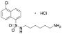 N-(6-Aminohexyl)-5-chloro-1-naphthalenesulfonamide Hydrochloride
