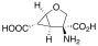 (1S,4S,5R,6S)-4-Amino-2-oxabicyclo[3.1.0]hexane-4,6-dicarboxylic Acid