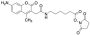 AMCA-X, N-succinimidyl ester