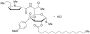 3,4-O-p-Anisylideneclindamycin Palmitate Hydrochloride