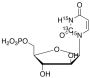 1-beta-D-Arabinofuranosyluracil-13C,15N2 5'-Monophosphate