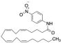 Arachidonoyl p-Nitroaniline