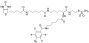 2-{N2-[N6-(4-Azido-2,3,5,6-tetrafluorobenzoyl)-6- aminocaproyl]-N6-(6-biotinamidocaproyl)-L -lysinylamido}ethyl Methanethiosulfonate
