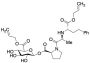 Biallyloxy Enalaprilat Acyl Glucuronide