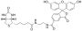 Biotin-4-Fluorescein