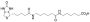 LC-LC(+)-Biotin