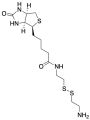 Biotinyl Cystamine