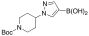 1-(Boc-piperidin-4-yl)-pyrazole-4-boronate
