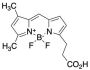 3-Bodipy-propanoic Acid