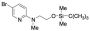 (5-Bromopyridin-2-yl)[2-(tert-butyldimethylsilyloxy)ethyl]methylamine