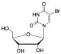 5-Bromouridine