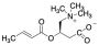 (E)-Butenoyl Carnitine