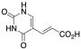 (E)-5-(2-Carboxvinyl)uracil