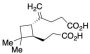 Beta-Caryophyllinic Acid
