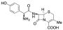 L-Cefadroxil