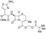 Cefetamet Pivoxil